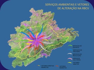 SERVIÇOS AMBIENTAIS E VETORES
DE ALTERAÇÃO NA RBCV
SERVIÇOS DE
SUPORTE
SERVIÇOS DE
PROVISÃO
SERVIÇOS DE
REGULAÇÃO
SERVIÇOS
CULTURAIS
VETORES
DIRETOS
VETORES
INDIRETOS
VETORES DIRETOS/
INDIRETOS
 