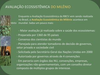 Enquanto a Avaliação Ecossistêmica da RBCV vem sendo realizada
no Brasil, a Avaliação Ecossistêmica do Milênio acontece em
âmbito mundial. Saiba um pouco mais:
- Maior avaliação já realizada sobre a saúde dos ecossistemas:
- Preparada por 1360 de 95 países
- Consenso dos cientistas do mundo
- Planejada para atender tomadores de decisão de governos,
setor privado e sociedade civil
- Solicitada pelo Secretário-Geral das Nações Unidas em 2000
- Autorizada por governos através de 4 convenções
- Em parceria com órgãos das NU, convenções, empresas,
organizações não-governamentais, com um conselho diretor
composto de múltiplos grupos de interesse.
AVALIAÇÃO ECOSSISTÊMICA DO MILÊNIO
 