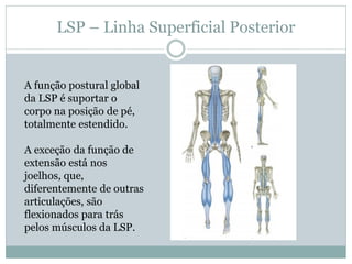 LSP – Linha Superficial Posterior
A função postural global
da LSP é suportar o
corpo na posição de pé,
totalmente estendido.
A exceção da função de
extensão está nos
joelhos, que,
diferentemente de outras
articulações, são
flexionados para trás
pelos músculos da LSP.
 