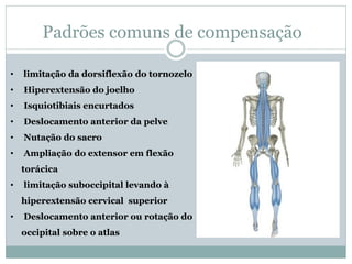 Padrões comuns de compensação
• limitação da dorsiflexão do tornozelo
• Hiperextensão do joelho
• Isquiotibiais encurtados
• Deslocamento anterior da pelve
• Nutação do sacro
• Ampliação do extensor em flexão
torácica
• limitação suboccipital levando à
hiperextensão cervical superior
• Deslocamento anterior ou rotação do
occipital sobre o atlas
 