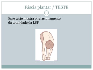 Fáscia plantar / TESTE
Esse teste mostra o relacionamento
da totalidade da LSP
 