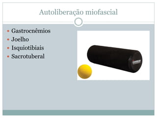 Autoliberação miofascial
 Gastrocnêmios
 Joelho
 Isquiotibiais
 Sacrotuberal
 