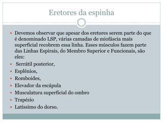 Eretores da espinha
 Devemos observar que apesar dos eretores serem parte do que
é denominado LSP, várias camadas de miofáscia mais
superficial recobrem essa linha. Esses músculos fazem parte
das Linhas Espirais, do Membro Superior e Funcionais, são
eles:
 Serrátil posterior,
 Esplênios,
 Romboides,
 Elevador da escápula
 Musculatura superficial do ombro
 Trapézio
 Latíssimo do dorso.
 