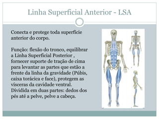 Linha Superficial Anterior - LSA
Conecta e protege toda superfície
anterior do corpo.
Função: flexão do tronco, equilibrar
a Linha Superficial Posterior ,
fornecer suporte de tração de cima
para levantar as partes que estão a
frente da linha da gravidade (Púbis,
caixa torácica e face), protegem as
vísceras da cavidade ventral.
Dividida em duas partes: dedos dos
pés até a pelve, pelve a cabeça.
 