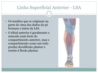 Linha Superficial Anterior - LSA
 Os tendões que se originam na
parte de cima dos dedos do pé
formam o início da LSA
 O tibial anterior é geralmente o
músculo mais forte do
compartimento anterior, mas o
compartimento como um todo
produz dorsiflexão plantar e
resiste à flexão plantar.
 