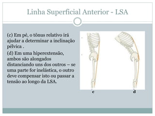 Linha Superficial Anterior - LSA
(c) Em pé, o tônus relativo irá
ajudar a determinar a inclinação
pélvica .
(d) Em uma hiperextensão,
ambos são alongados
distanciando uns dos outros – se
uma parte for inelástica, o outro
deve compensar isto ou passar a
tensão ao longo da LSA.
c d
 