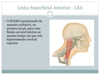 Linha Superficial Anterior - LSA
 O ECOM é posicionado de
maneira exclusiva, na
postura em pé, para criar
flexão cervical inferior ao
mesmo tempo em que cria
hiperextensão cervical
superior
 