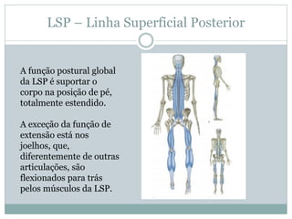 LSP – Linha Superficial Posterior
A função postural global
da LSP é suportar o
corpo na posição de pé,
totalmente estendid...