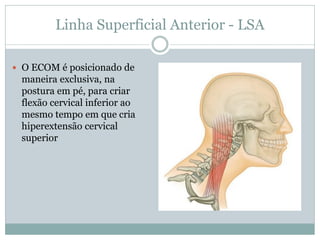 Linha Superficial Anterior - LSA
 O ECOM é posicionado de
maneira exclusiva, na
postura em pé, para criar
flexão cervical...