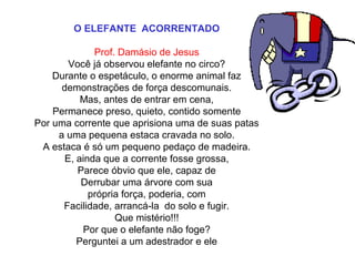 O ELEFANTE  ACORRENTADO
 
Prof. Damásio de Jesus
Você já observou elefante no circo?
Durante o espetáculo, o enorme animal faz
demonstrações de força descomunais.
Mas, antes de entrar em cena,
Permanece preso, quieto, contido somente
Por uma corrente que aprisiona uma de suas patas
a uma pequena estaca cravada no solo.
A estaca é só um pequeno pedaço de madeira.
E, ainda que a corrente fosse grossa,
Parece óbvio que ele, capaz de
Derrubar uma árvore com sua
própria força, poderia, com
Facilidade, arrancá-la  do solo e fugir.
Que mistério!!!
Por que o elefante não foge?
Perguntei a um adestrador e ele
 