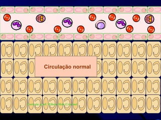 Circulação normal
Cortesia: prof. Wilson Melo Cruvinel
 
