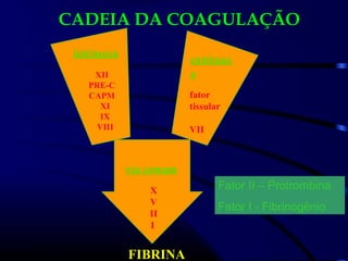 intrínseca
XII
PRE-C
CAPM
XI
IX
VIII
extrínsec
a
fator
tissular
VII
via comum
X
V
II
I
FIBRINA
Fator II – Protrombina
Fator I - Fibrinogênio
CADEIA DA COAGULAÇÃO
 