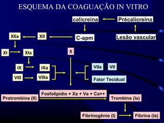 IX
VIII
Fosfolipídio + Xa + Va + Ca++
Fibrina (Ia)
XII
XI
Protrombina (II)
VIIa VII
Fator Tecidual
IXa
VIIIa
Fibrinogênio (I)
X
XIIa
XIa
Trombina (Ia)
C-apm
Précalicreinacalicreina
Lesão vascular
ESQUEMA DA COAGUAÇÃO IN VITRO
 