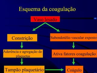 Esquema da coagulação
Vaso lesado
Constrição
Aderência e agregação de
plaquetas
Tampão plaquetário
Subendotélio vascular exposto
Ativa fatores coagulação
Coágulo
 
