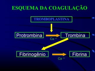 ESQUEMA DA COAGULAÇÃO
TROMBOPLASTINA
Protrombina Trombina
Fibrinogênio Fibrina
Ca ++
Ca ++
 