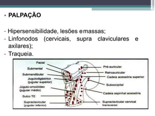 • PALPAÇÃO
- Hipersensibilidade, lesões emassas;
(cervicais, supra claviculares e
- Linfonodos
axilares);
- Traqueia.
 