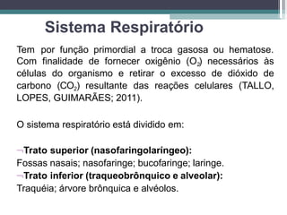 Sistema Respiratório
Tem por função primordial a troca gasosa ou hematose.
Com finalidade de fornecer oxigênio (O2
) necessários às
células do organismo e retirar o excesso de dióxido de
carbono (CO2) resultante das reações celulares (TALLO,
LOPES, GUIMARÃES; 2011).
O sistema respiratório está dividido em:
Trato superior (nasofaringolaríngeo):
Fossas nasais; nasofaringe; bucofaringe; laringe.
Trato inferior (traqueobrônquico e alveolar):
Traquéia; árvore brônquica e alvéolos.
 