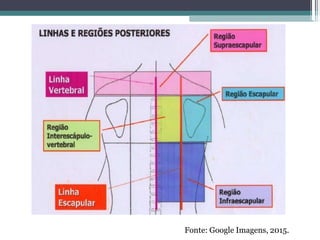 Fonte: Google Imagens, 2015.
 