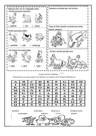 Avaliação de-ciências-2º-bimestre