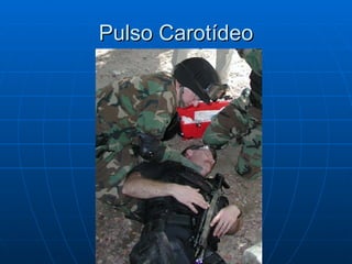 Pulso Carotídeo 