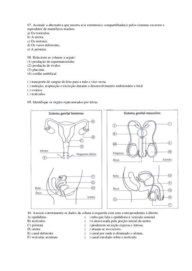 Avaliação sistema reprodutor Avaliação sistema reprodutor