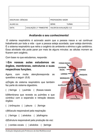 Avaliação Adaptada pela Professora da Sala Multifuncional
Avaliando o seu conhecimento!
O sistema respiratório é acionado ...