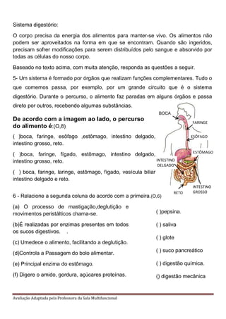 Avaliação Adaptada pela Professora da Sala Multifuncional
Sistema digestório:
O corpo precisa da energia dos alimentos par...