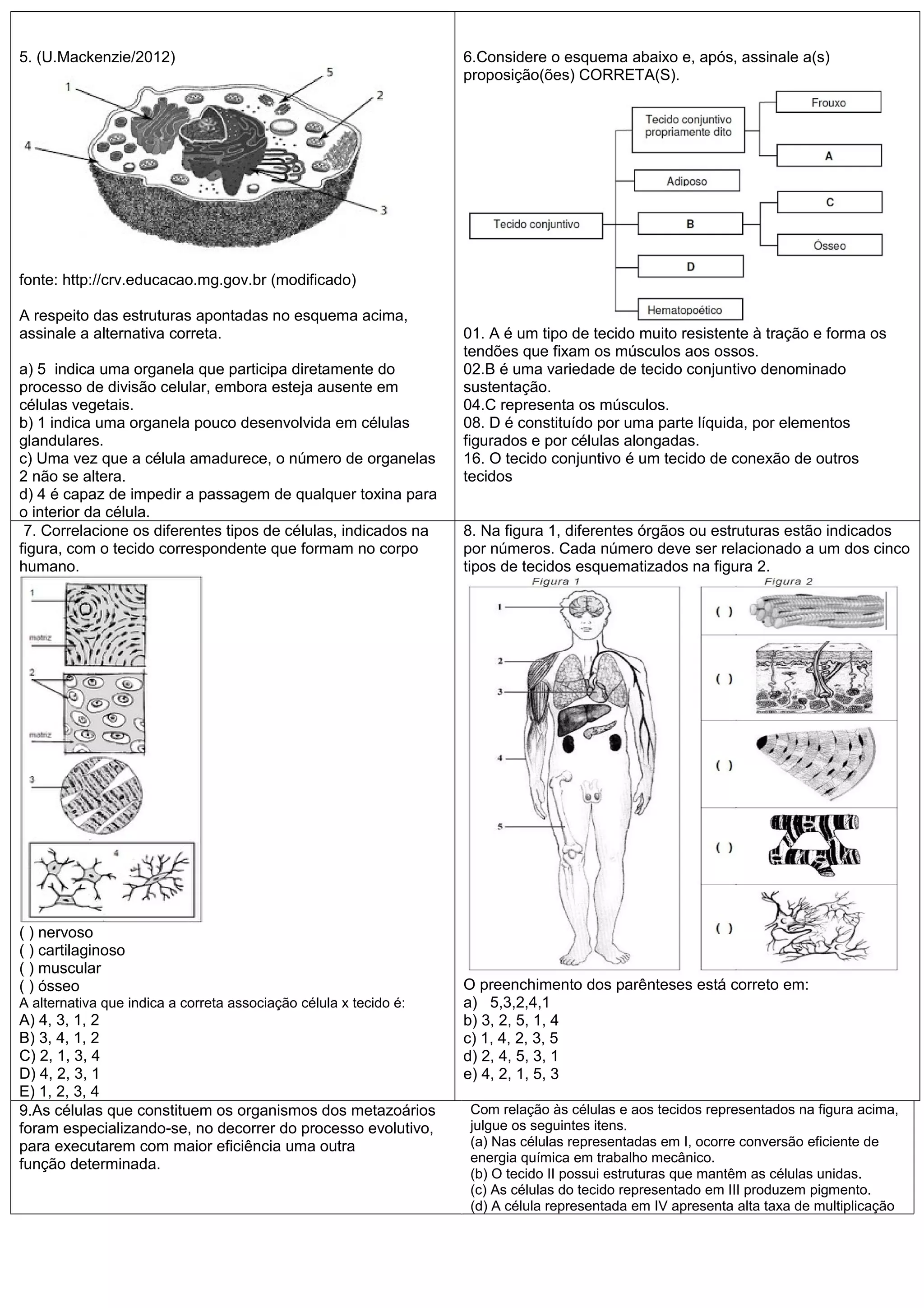 Prova De Biologia 1 Ano Ensino Médio Com Gabarito - BINKEDU