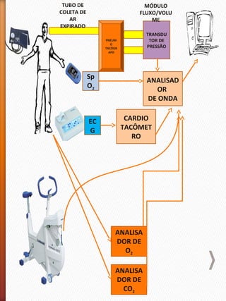 PNEUM
O
TACÓGR
AFO
TRANSDU
TOR DE
PRESSÃO
Sp
O2
EC
G
ANALISAD
OR
DE ONDA
CARDIO
TACÔMET
RO
ANALISA
DOR DE
O2
ANALISA
DOR DE
CO2
TUBO DE
COLETA DE
AR
EXPIRADO
MÓDULO
FLUXO/VOLU
ME
 