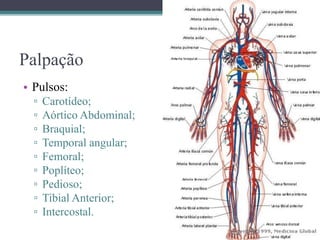 Palpação
• Pulsos:
▫ Carotídeo;
▫ Aórtico Abdominal;
▫ Braquial;
▫ Temporal angular;
▫ Femoral;
▫ Poplíteo;
▫ Pedioso;
▫ Tibial Anterior;
▫ Intercostal.
 