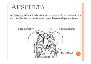 AUSCULTA
A técnica - Mova o estetoscópio na forma de Z, desde a base
do coração, transversalmente para baixo e depois o ápice.
Carótidas
Foco aórtico Foco pulmonar
Região
Infraclavicular
Foco Mitral
Foco
Tricúspide
Região axilar
 