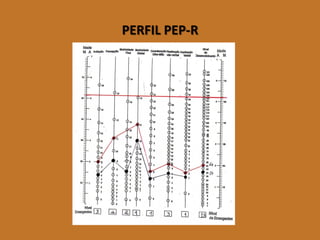 (imagem perfil pep-r) 
PERFIL PEP-R  