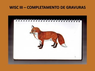 WISC III –COMPLETAMENTO DE GRAVURAS 
(Imagem 1)  