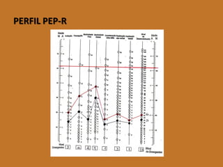 (imagem perfil pep-r) 
PERFILPEP-R  