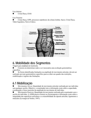Face Anterior:
       Crista Íliaca, EIAS

Face Posterior:
       Crista Ilíaca, EIPS, processos espinhosos da coluna lombar, Sacro, Crista Íliaca,
Túber Isquiático, Nervo Ciático.




6. Mobilidade dos Segmentos
Triagem para amplitude de movimento:
        Consiste em determinar onde e se é necessária uma avaliação goniométrica
específica;
        Se forem identificadas limitações na amplitude de movimento articular, deverá ser
realizado um teste goniométrico específico para se obter um quadro das restrições,
estabilização e registro das limitações.



6.1 Mobilização
        Movimentos Ativos: Quantidade de movimento articular realizada por um indivíduo
sem qualquer auxílio. Objetivo: o examinador tem a informação exata sobre a capacidade,
coordenação e força muscular da amplitude de movimento do indivíduo.
        Movimentos Passivos: Quantidade de movimento realizada pelo examinador sem o
auxílio do indivíduo. A ADM passiva fornece ao fisioterapeuta a informação exata sobre a
integridade das superfícies articulares e a extensibilidade da cápsula articular, ligamentos e
músculos (Levangie & Norkin, 1997).
 