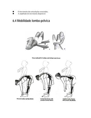 O movimento das articulações associadas;
   A amplitude de movimento disponível.



6.4 Mobilidade lombo-pélvica
 