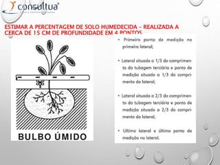 ESTIMAR A PERCENTAGEM DE SOLO HUMEDECIDA – REALIZADA A
CERCA DE 15 CM DE PROFUNDIDADE EM 4 PONTOS
 