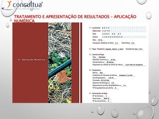 TRATAMENTO E APRESENTAÇÃO DE RESULTADOS – APLICAÇÃO
NUMÉRICA
 