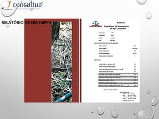 RELATÓRIO DE DESEMPENHO
 