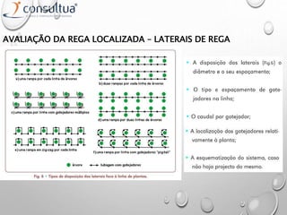 AVALIAÇÃO DA REGA LOCALIZADA – LATERAIS DE REGA
 