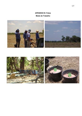 127
APENDICE B: Fotos
Modo de Trabalho
M
 