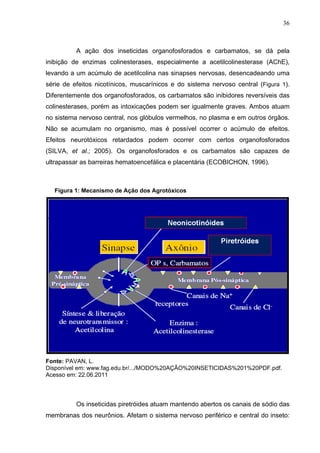 36
A ação dos inseticidas organofosforados e carbamatos, se dá pela
inibição de enzimas colinesterases, especialmente a ac...