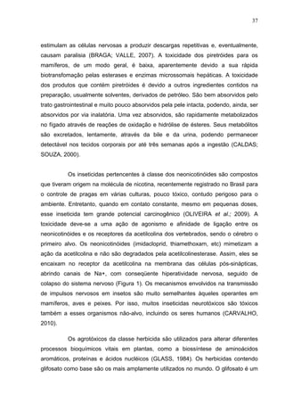 37
estimulam as células nervosas a produzir descargas repetitivas e, eventualmente,
causam paralisia (BRAGA; VALLE, 2007)....