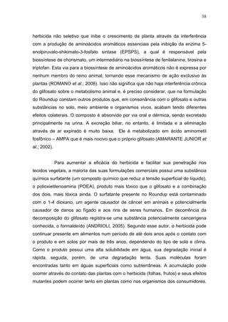 38
herbicida não seletivo que inibe o crescimento da planta através da interferência
com a produção de aminoácidos aromáti...