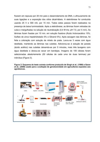 73
ficaram em repouso por 20 min para o desenrolamento do DNA, o afrouxamento de
suas ligações e a exposição dos sítios ál...