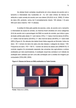 74
As células foram contadas visualmente em cinco classes de acordo com o
tamanho e intensidade dos nucleoídes (0 - 4). Um...