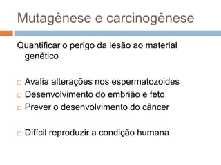 Mutagênese e carcinogênese
Quantificar o perigo da lesão ao material
genético



Avalia alterações nos espermatozoides
Desenvolvimento do embrião e feto
Prever o desenvolvimento do câncer



Difícil reproduzir a condição humana




 