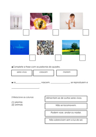 ■Complete a frase com as palavras do quadro.
■ os________________________ nascem, __________________, se reproduzem e
__________________________.
2-Relacione as colunas:
(1) plantas
(2) animais
seres vivos crescem morrem
Alimentam-se de outros seres vivos.
Não se locomovem.
Podem voar, andar ou nadar.
Não sobrevivem sem a luz do sol.
 
