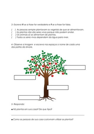 3- Escreva V se a frase for verdadeira e F se a frase for falsa.
( ) As pessoas sempre plantavam os vegetais de que se alimentavam.
( ) As plantas não são seres vivos porque não podem andar.
( ) Os animais só se alimentam de plantas.
( ) Todos os seres vivos dependem da água para viver.
4- Observe a imagem e escreva nos espaços o nome de cada uma
das partes da árvore.
5- Responda:
■ Há plantas em sua casa? De que tipo?
_______________________________________________________________________
■ Como as pessoas de sua casa costumam utilizar as plantas?
 