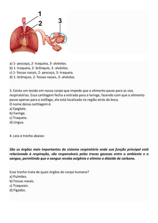 a) 1- pescoço, 2- traqueia, 3- alvéolos.
b) 1- traqueia, 2- brônquio, 3- alvéolos.
c) 1- fossas nasais, 2- pescoço, 3- traqueia.
d) 1- brônquio, 2- fossas nasais, 3- alvéolos.
3. Existe um tecido em nosso corpo que impede que o alimento passe para as vias
respiratórias. Essa cartilagem fecha a entrada para a laringe, fazendo com que o alimento
passe apenas para o esôfago, ela está localizada na região atrás da boca.
O nome dessa cartilagem é:
a) Epiglote.
b) Faringe.
c) Traqueia.
d) Língua.
4. Leia o trecho abaixo:
São os órgãos mais importantes do sistema respiratório onde sua função principal está
relacionada à respiração, são responsáveis pelas trocas gasosas entre o ambiente e o
sangue, permitindo que o sangue receba oxigênio e elimine o dióxido de carbono.
Esse trecho trata de quais órgãos do corpo humano?
a) Pulmões.
b) Fossas nasais.
c) Traqueais.
d) Fígados.
 